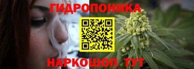 синтетический гашиш Сланцы
