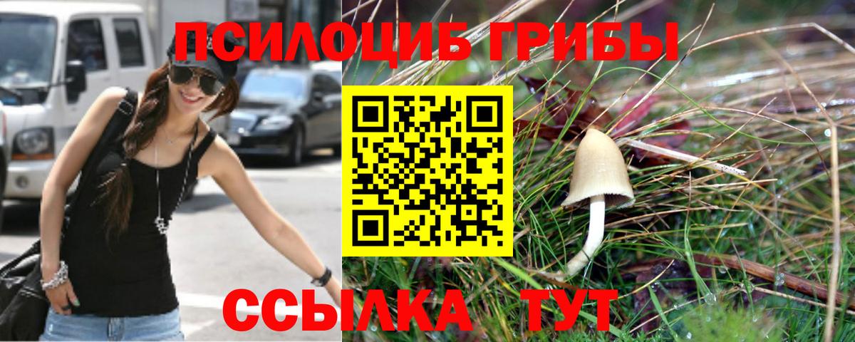 Псилоцибиновые грибы мухоморы Новозыбков