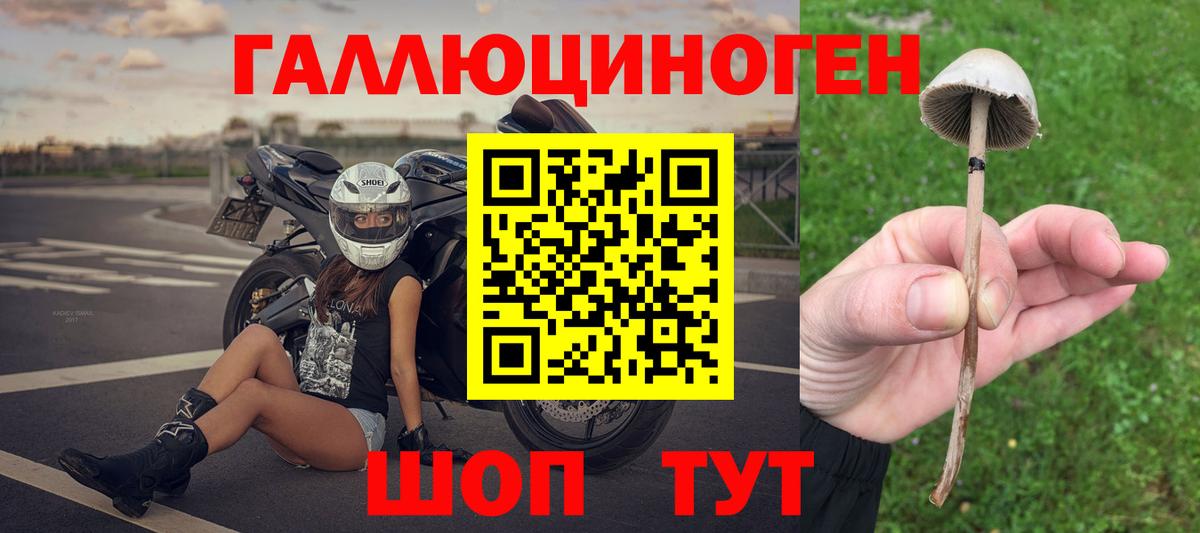 даркнет сайт  Галлюциногенные грибы мухоморы  Вход с VPN  Новозыбков 