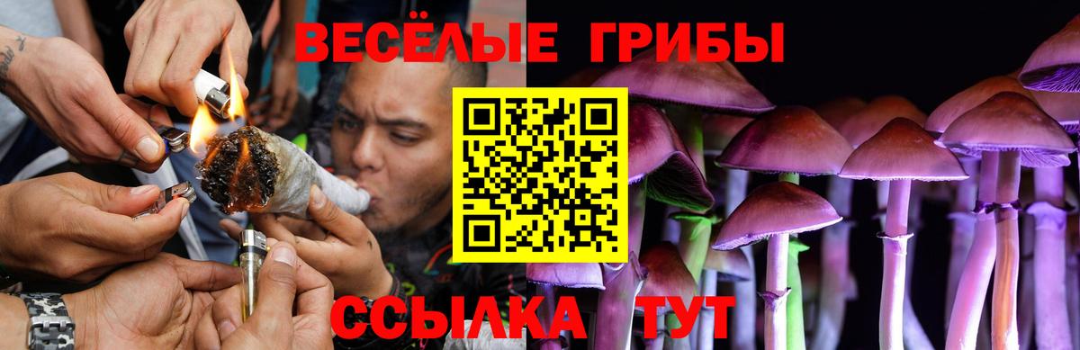 Меф МЯУ МЯУ кристаллы  А ПВП СОЛЬ кристаллы  Каннабис  MDMA  Гашиш  Новозыбков  АМФ   Вход с VPN 