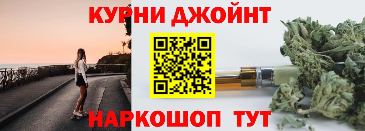 Шишки марихуана сатива  Вход с VPN  Шишки марихуана семена  Марихуана MAZAR  Новозыбков 